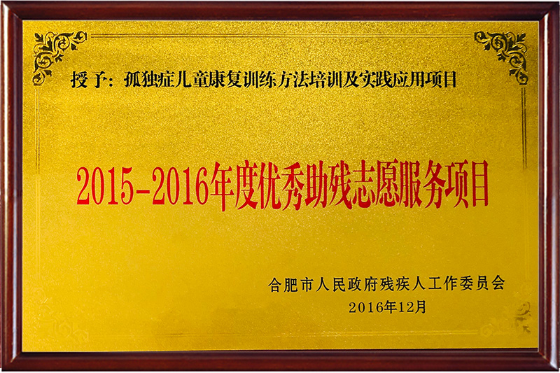 2015-2016年度優秀助殘志愿服務項目